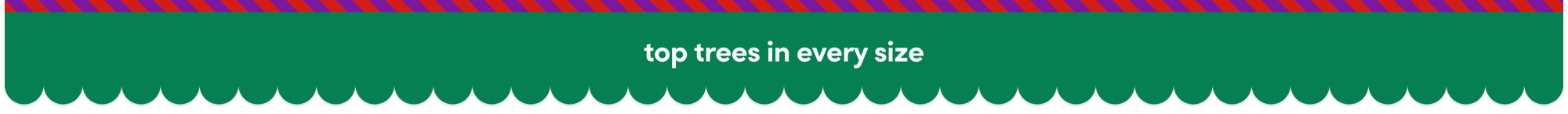 Top trees in every size