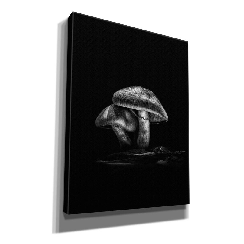 «Toadstool On A Trail No 2» par Brian Carson, reproduction sur toile tendue, H 16 po x l 12 po x P 0,75 po