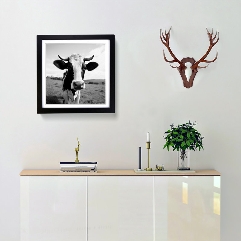 Cow Photograph - Framed Print, Black