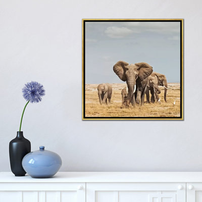 Couleur éléphant troupeau par Klaus Tiedge-reproduction de photo