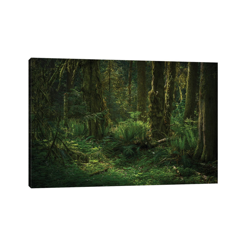 Feel The Sun’S Blessing by Louis Ruth - Wrapped Canvas Print, 66.04 cm H x 45.72 cm W