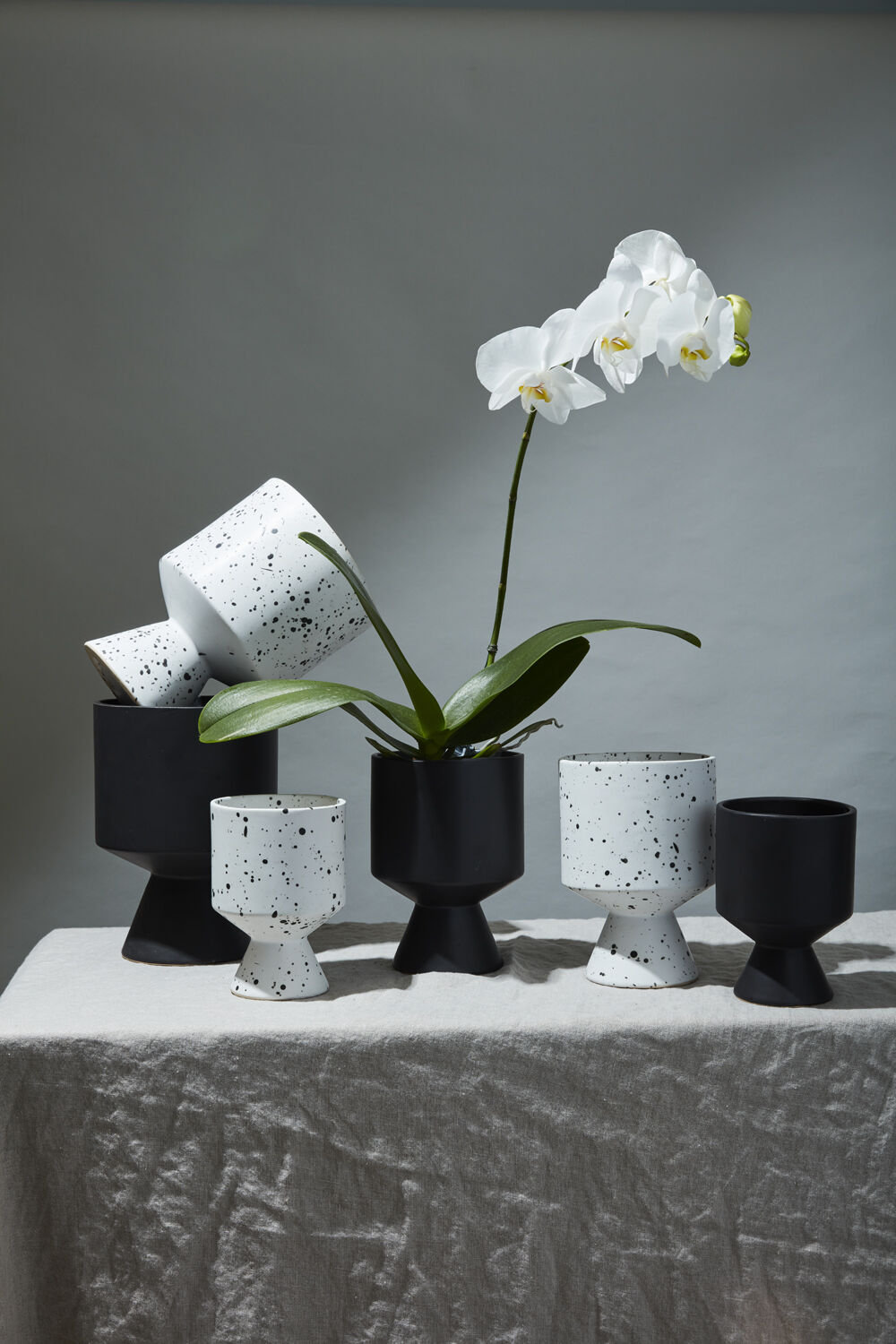 Patricia Ceramic Pot Planter, 6.25" H x 4.5" W x 4.5" D