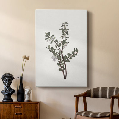Imprimé floral rétro CLXVII - galerie Cavas sur mesure