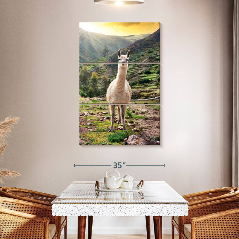 Brampt couleurs du Pérou - Lama sauvage