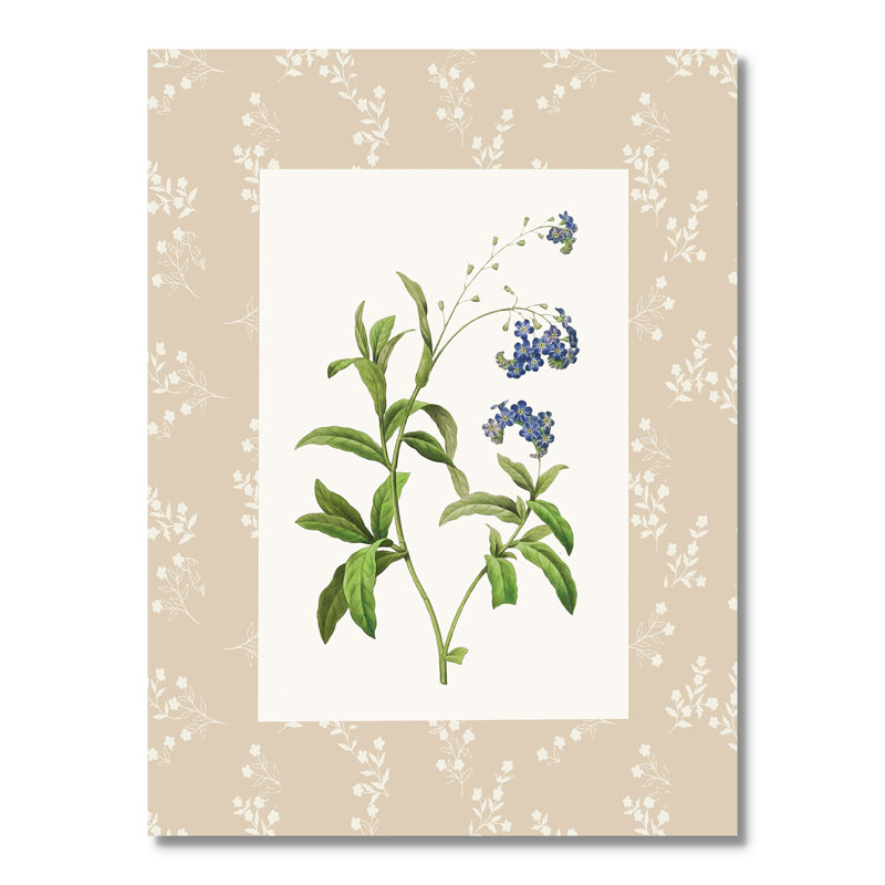 «Botanical Plate I Print» par Susan Jill, 18'' W x 24'' H, Wrapped Canvas, Sans cadre