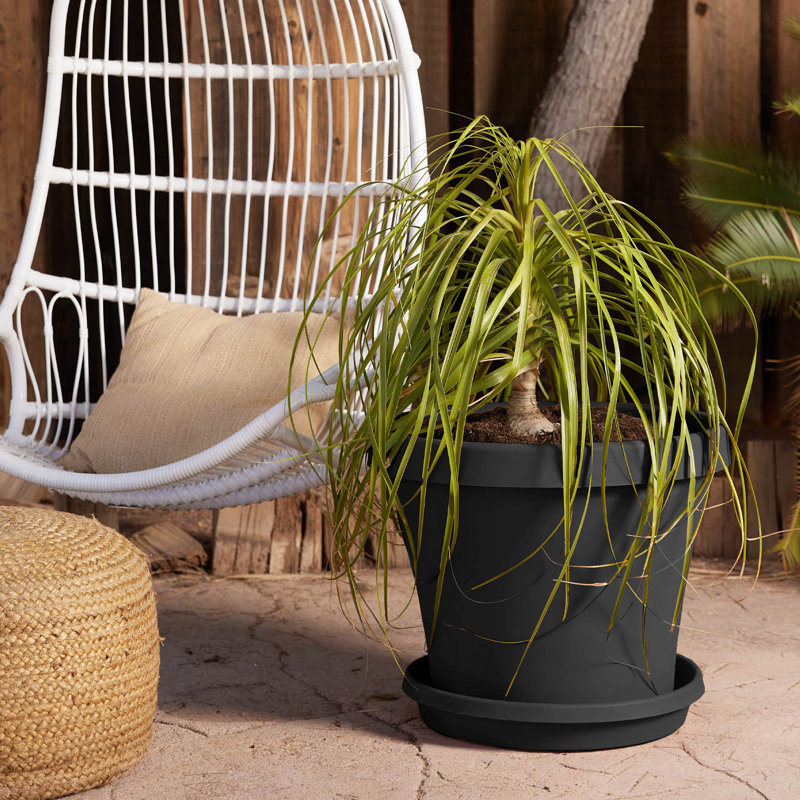 Terra Traditional Plastic Indoor/Outdoor Pot Planter, Black, 17" H x 20.5" W x 20.5" D