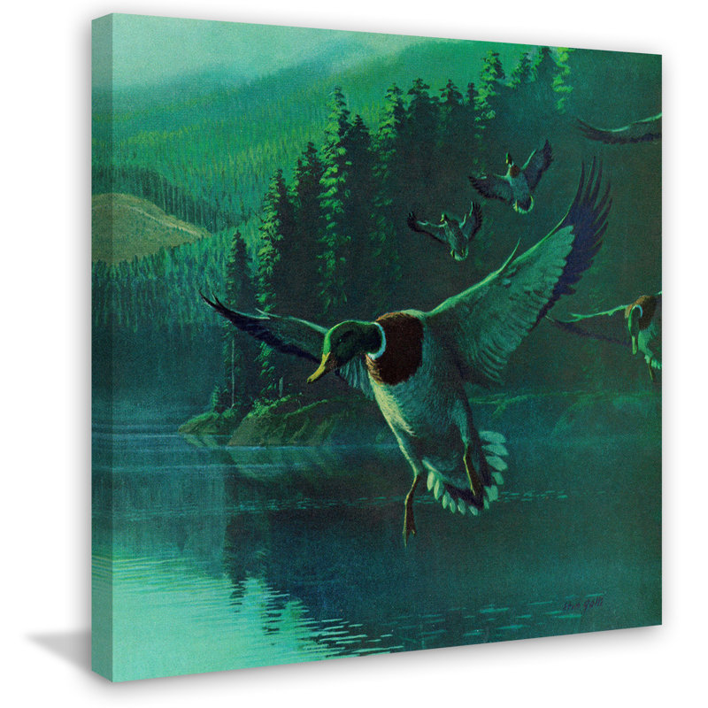 « mallard duck », reproduction de photo sur toile tendue, H 24 po x l 24 po x P 1,5 po