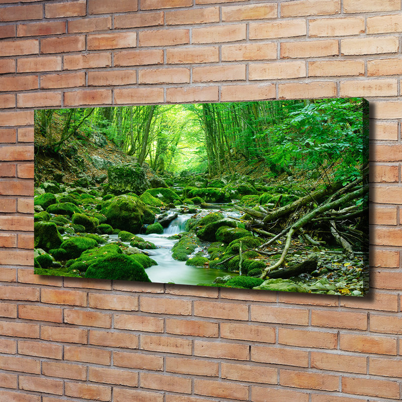 Stream in the Forest - Wrapped Canvas Art Prints