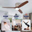 Ventilateur de plafond moderne de 52 pouces avec moteur à courant continu réversible à télécommande 3 lumières à DEL 3 couleurs à intensité variable
