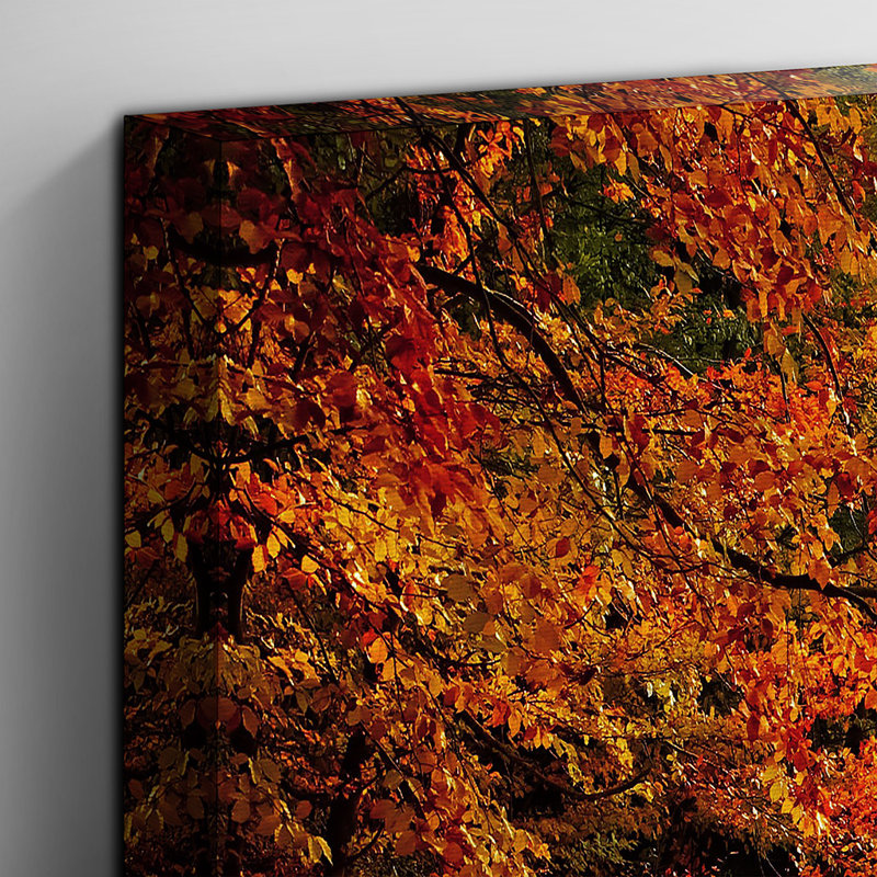 Fall Woodland Forest - Wrapped Canvas, 70cm H x 100cm W