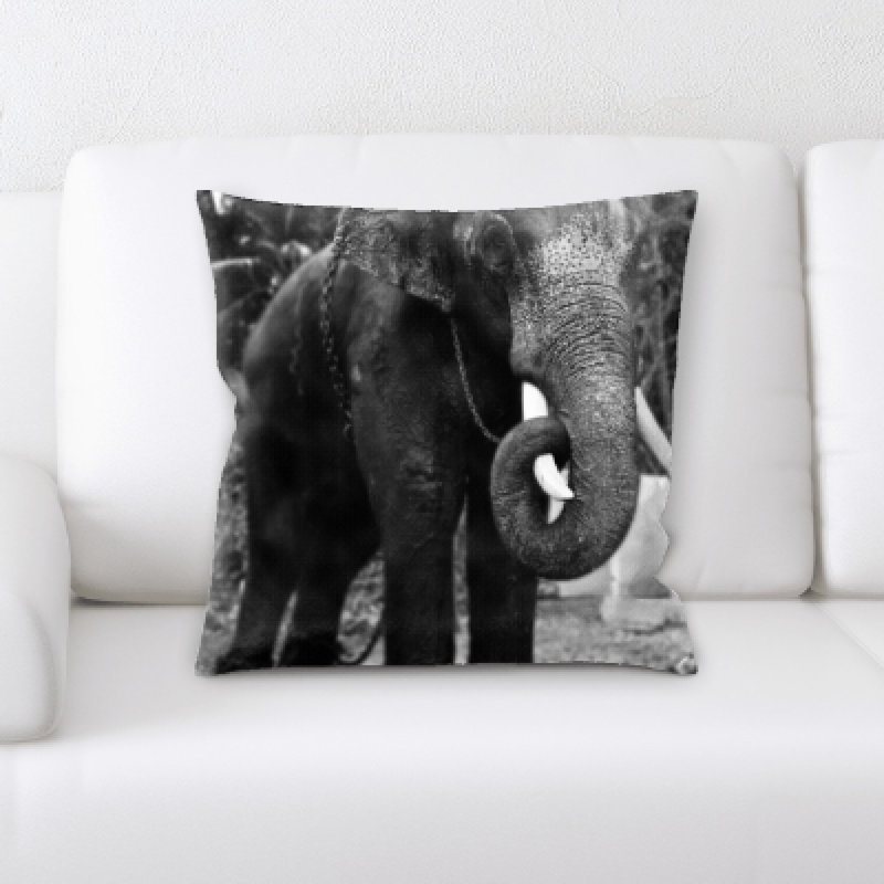 Eaman Animal Square Pillow Cover & Insert