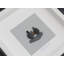Single Picture Frame Print on Plastic / Acrylic
