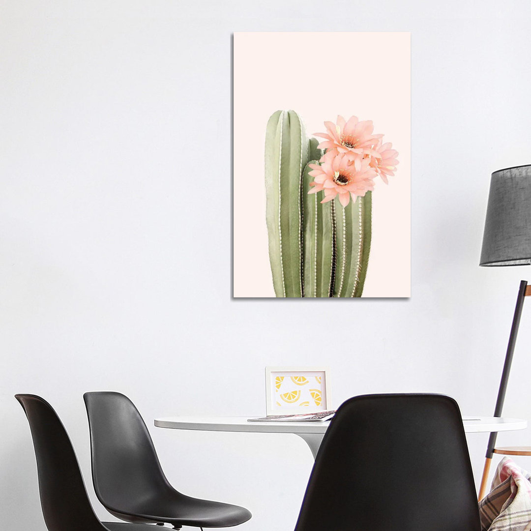 Cactus Flowers von Sisi & Seb - Galerie-verpackte Leinwand Giclée