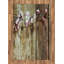 Brown Area Rug-42027318