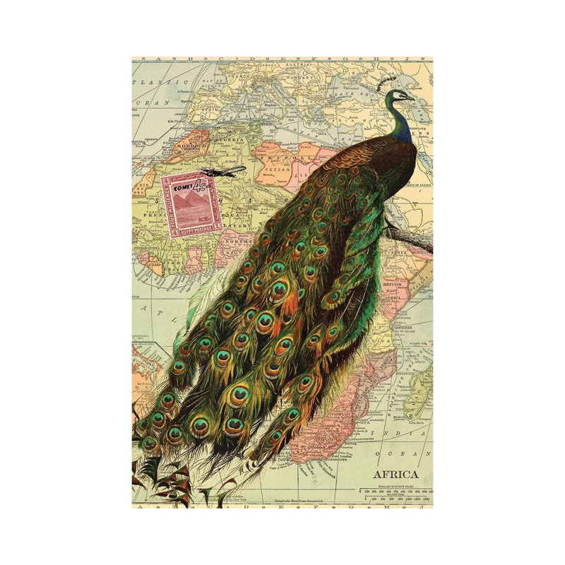 Peacock Collage On Map Of Africa by Piddix - Painting on Canvas, Wrapped Canvas, 20.32 cm H x 30.48 cm W