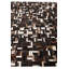 Tapis brun Nivens