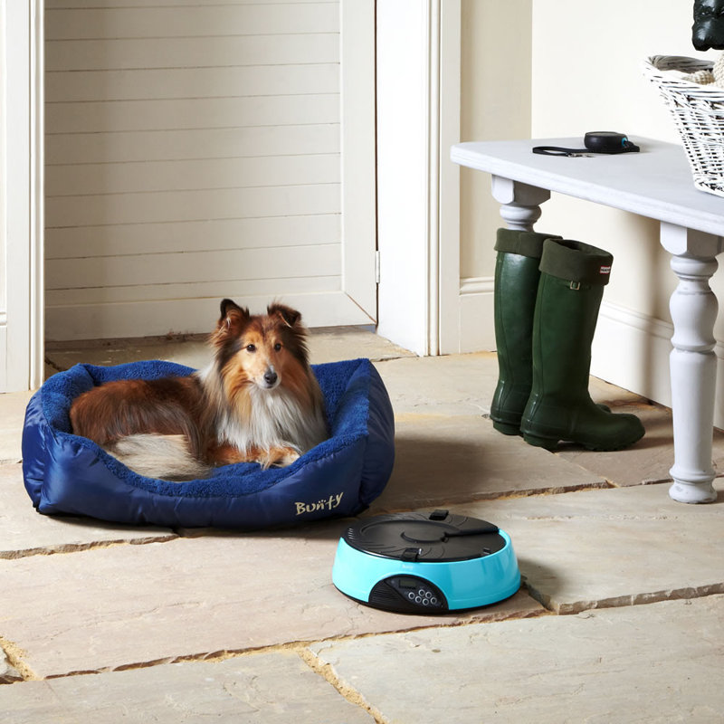 Bacup Polyester Pet Bed, Blue, Large (75 cm L x 58 cm W)