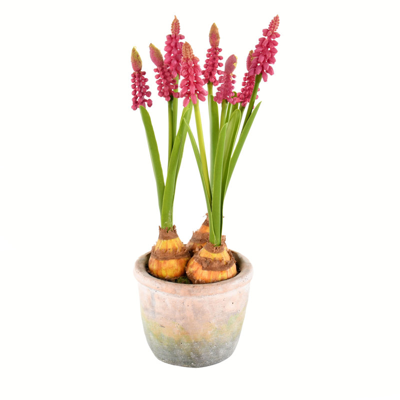 Jacinthes artificielles 10 po dans un contenant, Mauve