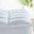 Encanto 2'' Down Alternative Mattress Topper-88420846