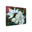 Deetra Joanne Porter Magnolias - impression sur toile tendue-27484724