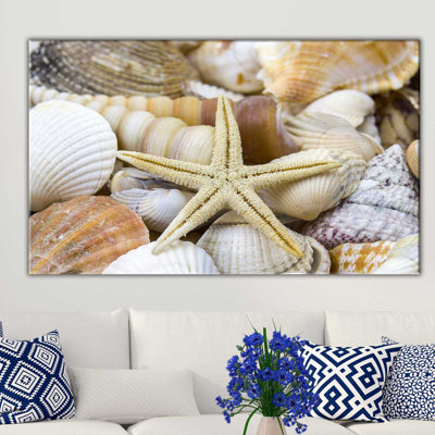 « sea turtle iv », reproduction de photo sur toile tendue