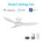 Upton 45'' Smart Ceiling Fan with Remote, Light Kit Included,Works with Google Assistant and Amazon Alexa,Siri Shortcut.