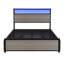 Corsandra Storage Bed-274822471