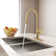 CASAINC Single-Handle Pull-Down Kitchen Faucet Single Hole Faucet