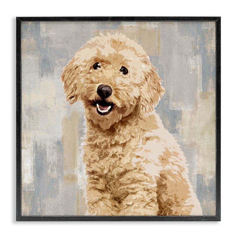 Chien souriant Labradoodle avec motif de gris et beige, L 24 po x H 24 po, Giclée encadrée noir minuit