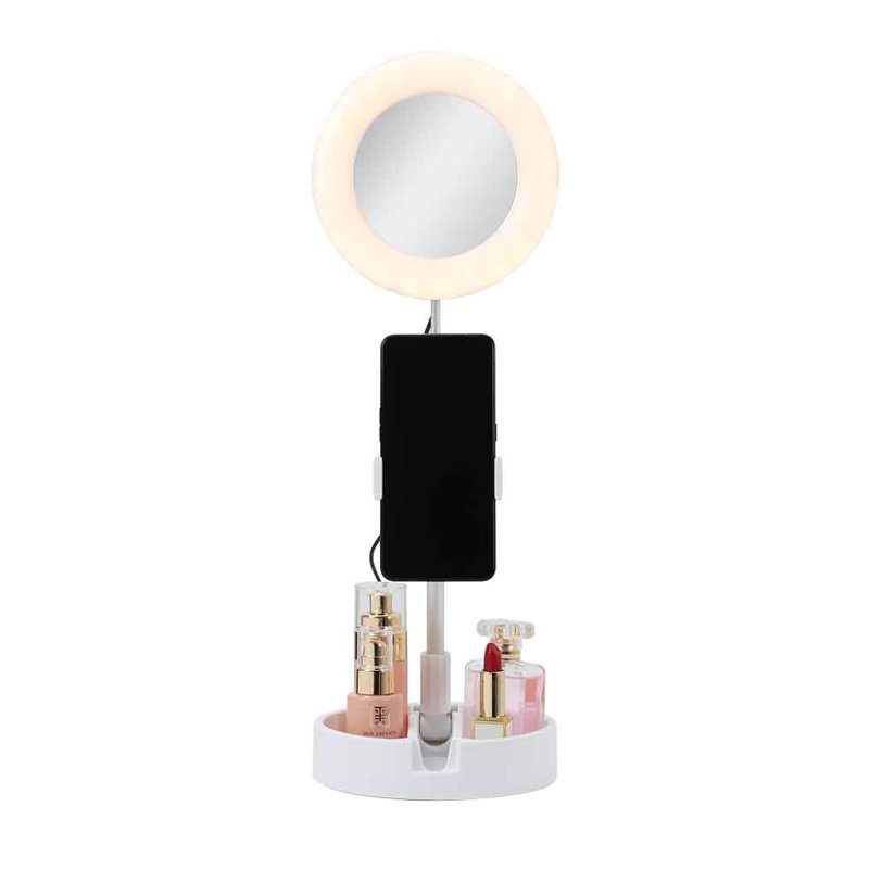 Tirado Metal Flat Floor Mirror