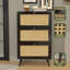 Armoire de rangement pour chaussures Georgios-1918792383