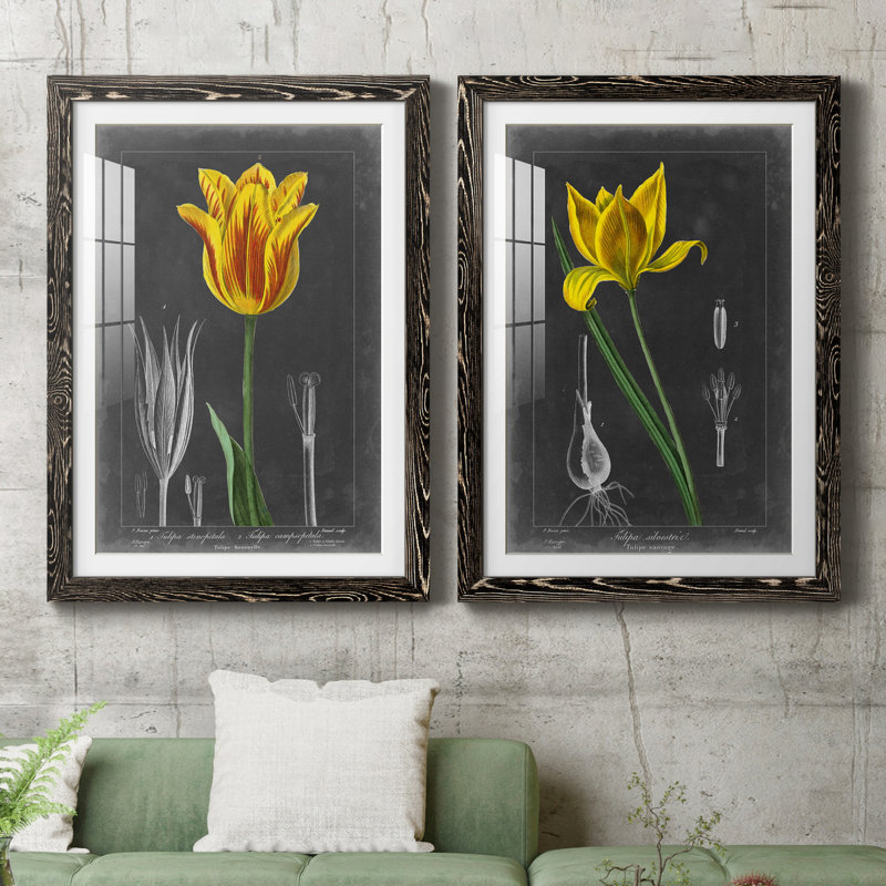 «Midnight Tulip», reproduction encadrée prémium, H 43,5 po x l 31,5 po x P 1 po, H 31,5 po x l 47 po x P 1,5 po, Blanc