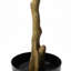 Faux olivier en pot Amee H 70 "