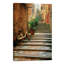Italy, Cinque Terre, Monterosso Bicycle And Uphill Stairway - No Frame Print on Canvas-146790710