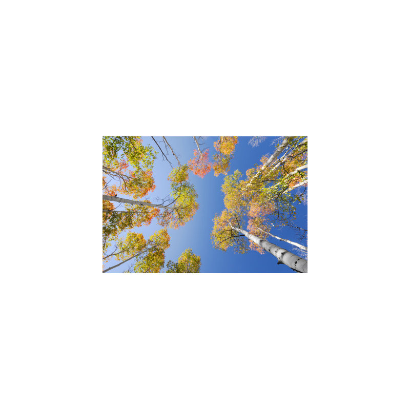 Wrapped Canvas Print, 60.96 cm H x 91.44 cm W