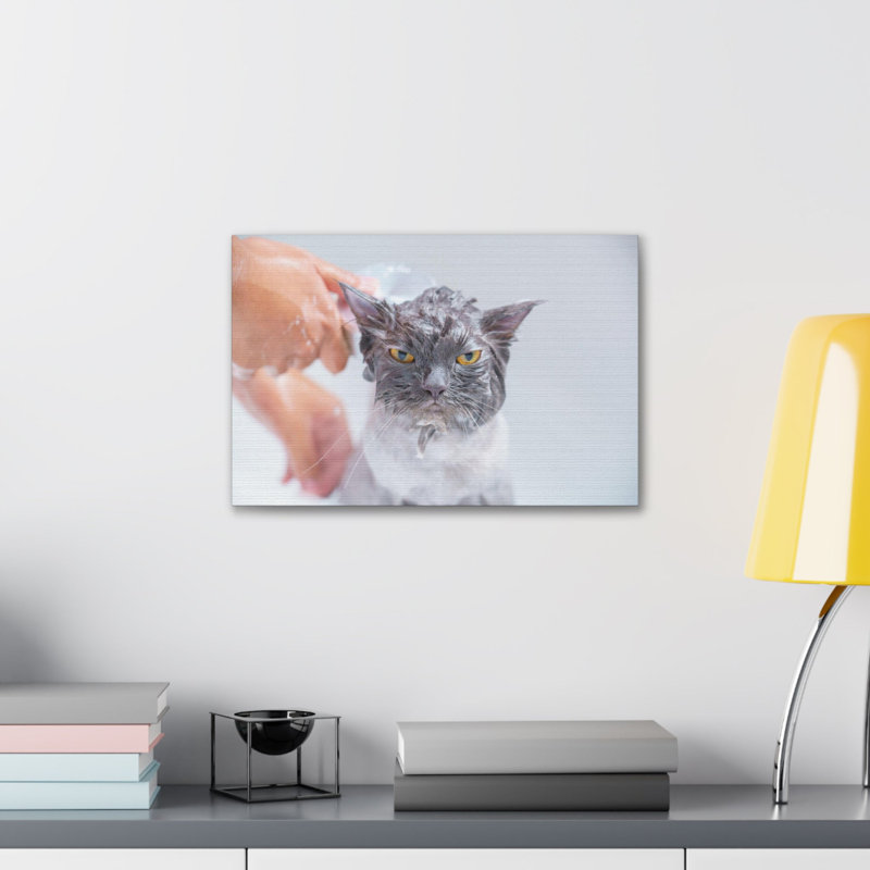 Drôle de chat persan Bathee, art mural sur toile, H 12 po x l 18 po
