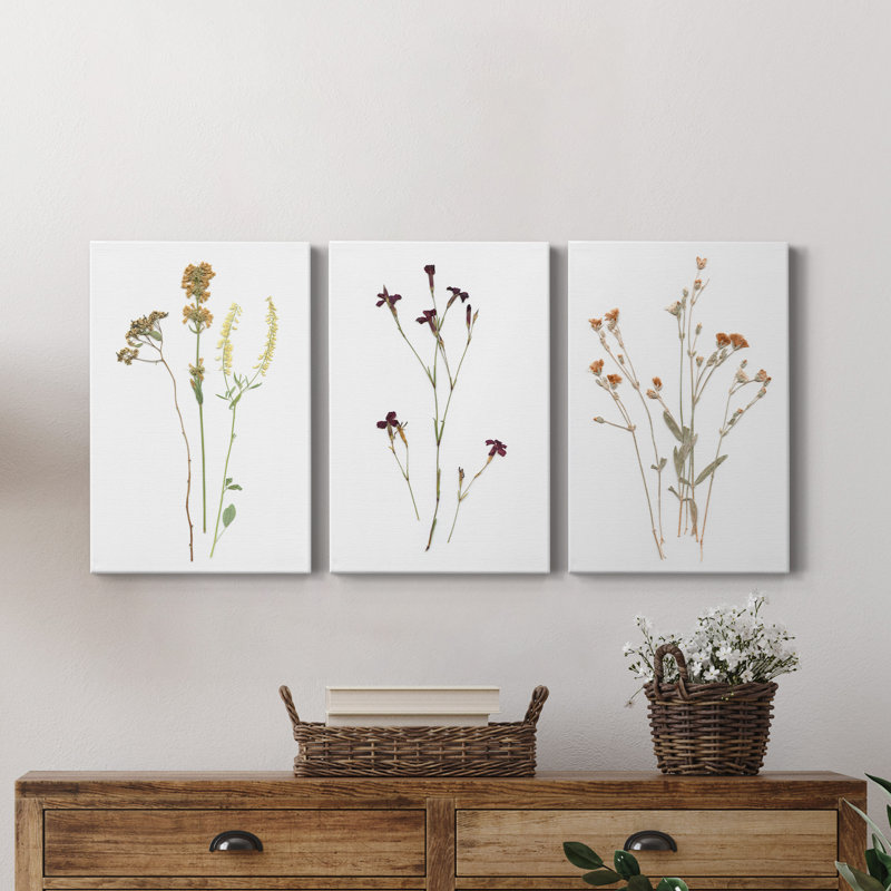 Pressed Botanical I - Ensemble de 3 reproductions sur toiles tendues, H 36 po x l 72 po x P 1,5 po