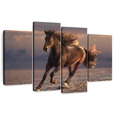 Brampt Sandy Beach Horse