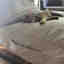 Customer photo 2 of 3