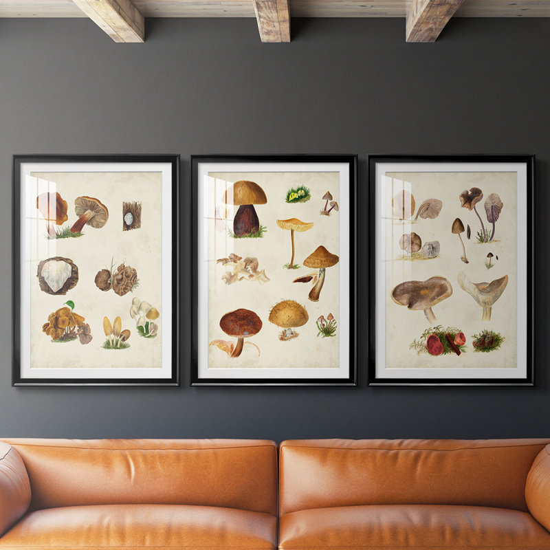 Champignon I - impression encadrée sur mesure de qualité supérieure mate - 3 pièces, Noir, H 21 po x l 30 po
