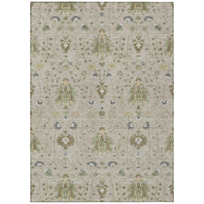 Machine Washable Indoor/Outdoor Chantille ACN2842 Global Rug