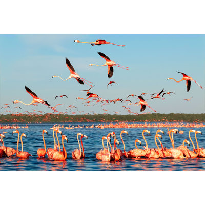 Flamants dans un magnifique lagon bleu - photographie sur toile tendue