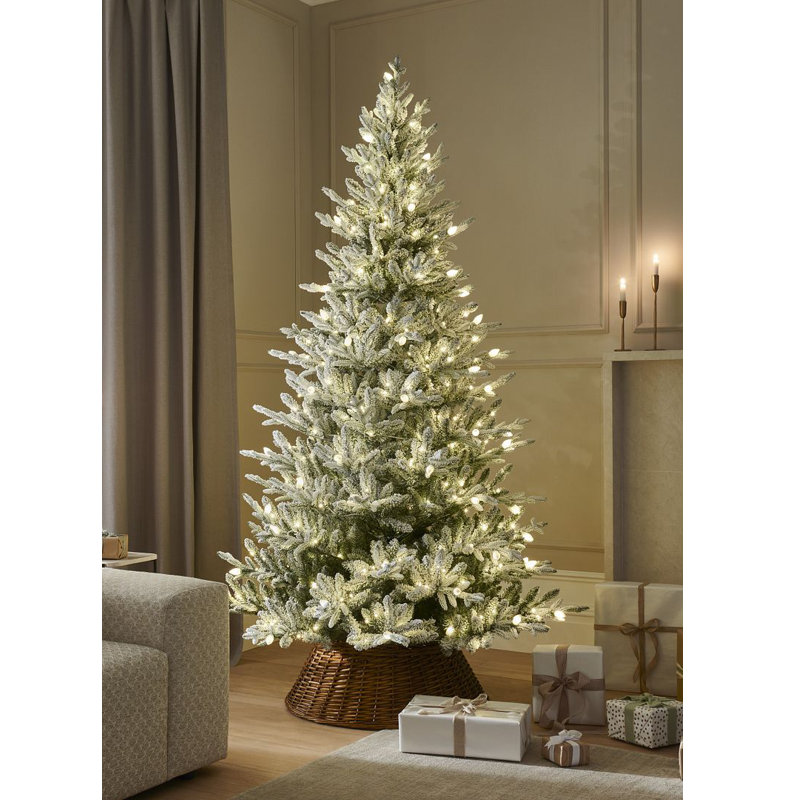 FROSTED DALTON 7.5' H Lighted Artificial Fir Christmas Tree