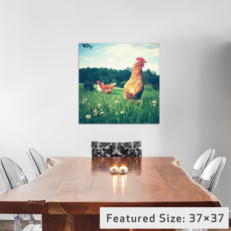 Poulets, reproduction de photo sur toile tendue, H 26 po x l 26 po x P 1,5 po