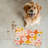 Boogie Nights - 1 Piece Bone Shape Feeding Mat-101634652