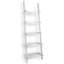 189cm H x 56cm W Ladder Bookcase-2020873232