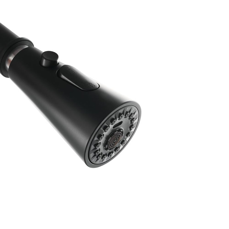 Belfry Kitchen Hyuk Kitchen Faucet, Matte Black