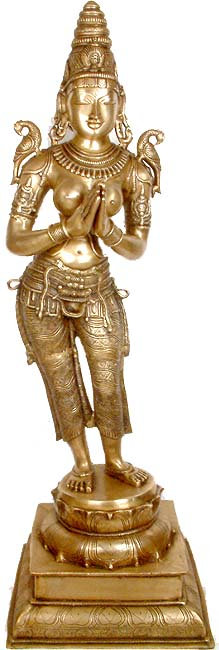 Grande dame Namaste
