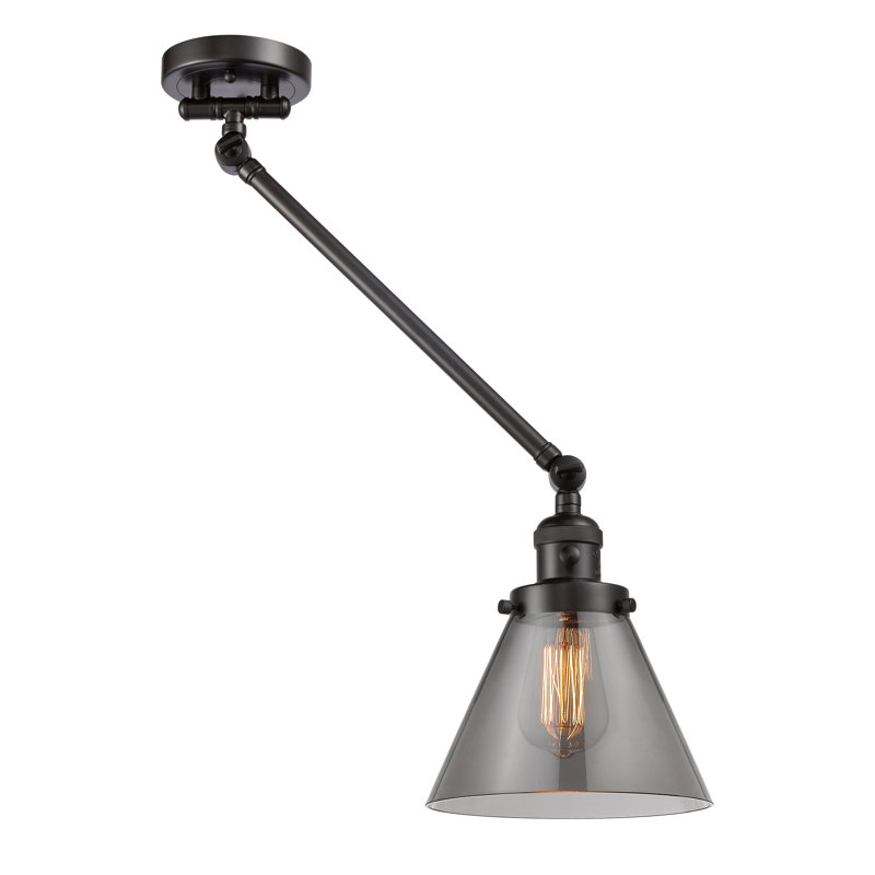 Lampe murale avec bras pivotant à 1 lumière Neill Cone, Bronze huilé, Fumée