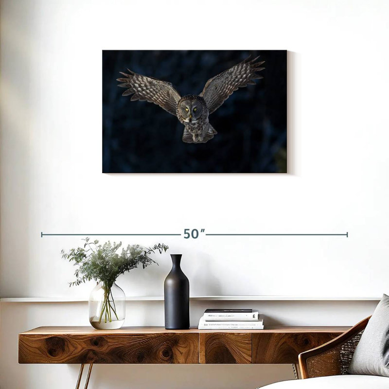Flying Gray Owl, 20" H x 30" W
